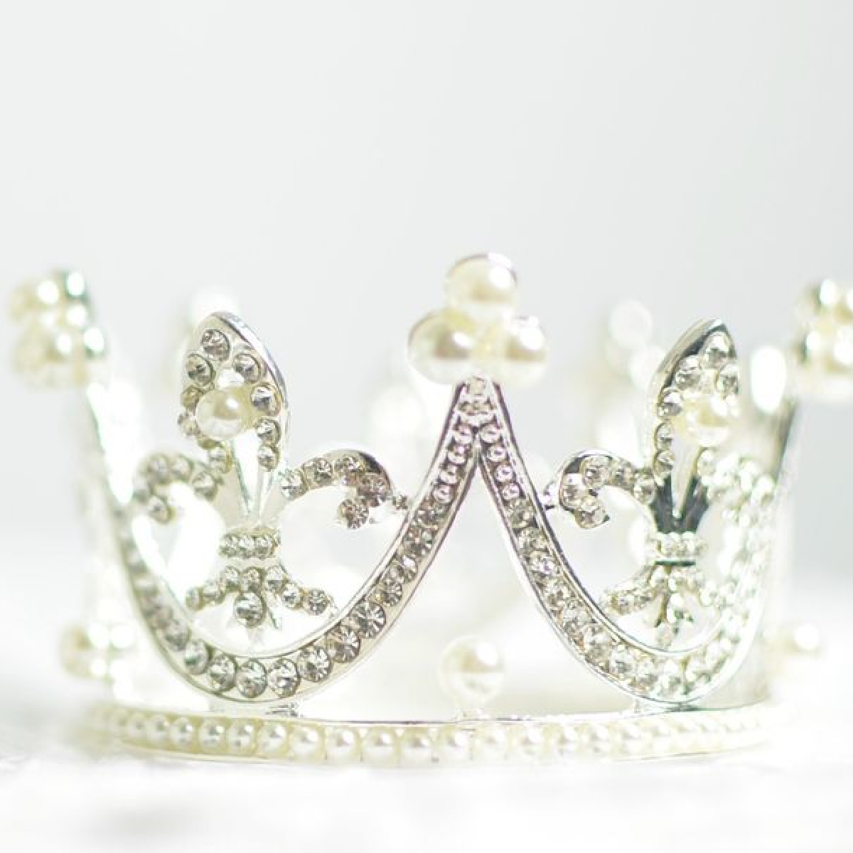 リピーター様向け特別優待コース